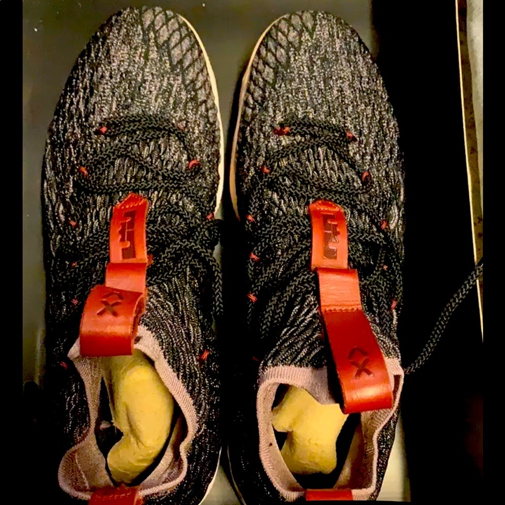 Lebron XV “The Pride of Ohio” Youth Size 5.5